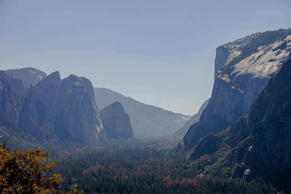 Yosemite National Park 2016 By Ethan James Rivera